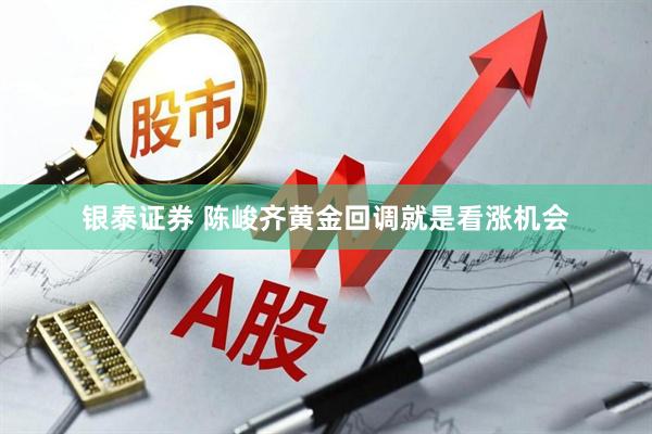 银泰证券 陈峻齐黄金回调就是看涨机会