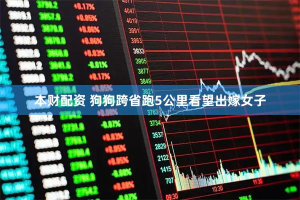 本财配资 狗狗跨省跑5公里看望出嫁女子