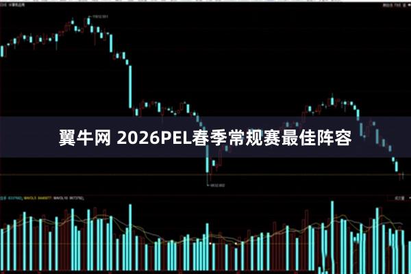 翼牛网 2026PEL春季常规赛最佳阵容